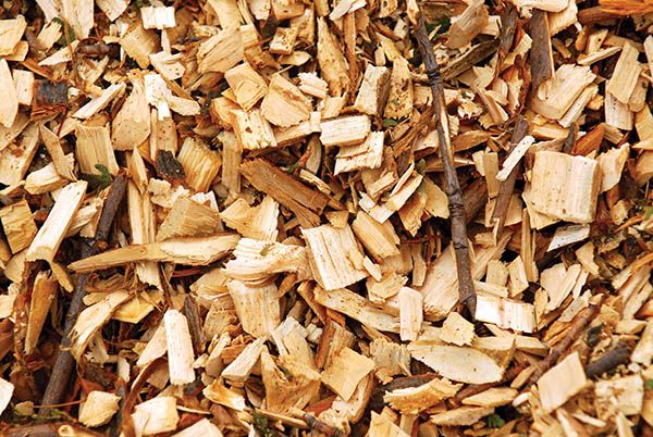 Best Wood Chips From Vietnam