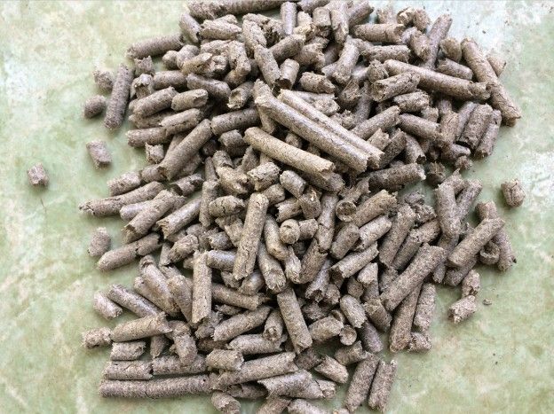 Sugarcane Bagasse Pellet with suitable price