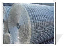 Welded Wire Mesh1