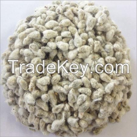 Cotton Seed,Cotton Oil Cake,Maize,Sunflower Oil Cake,Soya Oil Cake,Copra Oil Cake,Hominy Chop,Wheat Bran,Lucerne,Wheat,Fish Meal,Molasses, Wheat, Sorghum, Barley