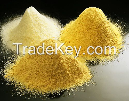 Egg Yolk Powder 