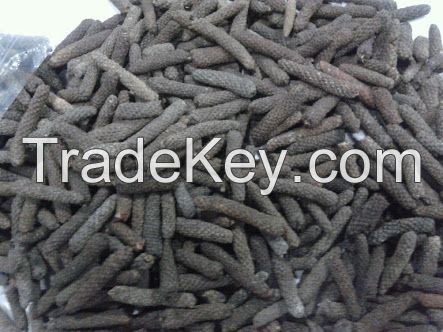 Long Pepper