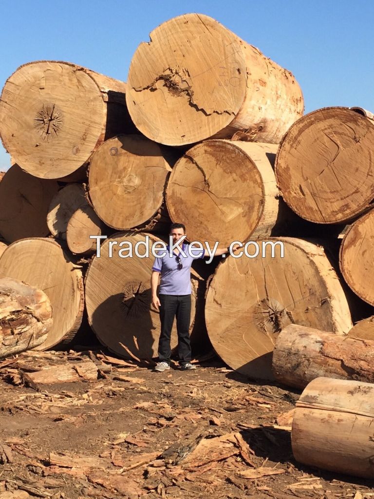 BRAZILIAN TROPICAL HARDWOODS, TEAK, IPE, PEROBA