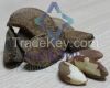 BRAZIL NUTS