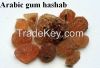 gum arabic hashab &amp...
