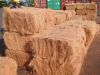 MINH KHANG IMPORT &amp...