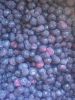IQF Frozen Bilberry / ...