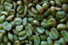 Green Robusta Coffee B...