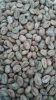 Robusta coffee green bean