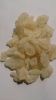 Gum Copal