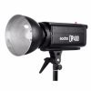 DP400 400Ws Profession...