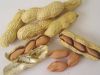 Sudan Raw Peanut Kerne...