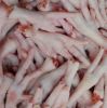 Best Sale Frozen Chicken Paws / Wholesale Price Frozen Chicken Feet / Frozen Whole Chicken for Human Consumption