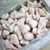 AVAILABLE LARGE AMOUNT of FROZEN CHICKEN DRUMSTICK / CHICKEN LEG for SALE