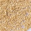 100% Durum Wheat Semolina Flour / Durum Wheat Semolina / Durum Wheat Semolina Flour Quality Semolina Flour