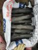 Bbq Charcoal Hard Wood No Smoke Hardwood Charcoal for Barbecue Wholesale Cheap Prices