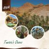 Dates deglet Nour From...