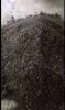 Organic Fertilizer