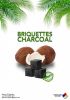 Briquettes &amp;am...