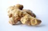 Ginger