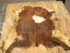 Quality and Sell Wet Salted Kip Skins