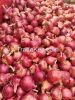 Egusi melon seeds, spi...