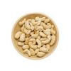 best cashew nuts suppliers