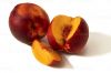 Bulk peaches nectarines for export and distribution