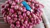 Shallot