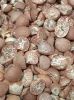 Betel Nuts