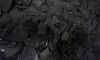 Coconut Shell Charcoal