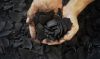 Coconut Shell Charcoal