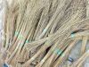 Palm Broom Stick