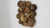 Amanita Regalis 2026 | Amanita Regalis Caps | Amanita Regalis Dried