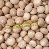 Whole white Betel Nut ...