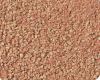 freeze dried bloodworm...