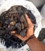 Ayin/Shisha Charcoal, ...