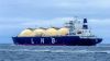 Premium Kazakh Liquefi...