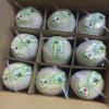 Fresh Young Coconut