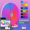 Kinyu RGBIC Neon Rope ...