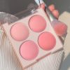 2025 AIYA Enchanting Four - shade Herbal Blush Palette