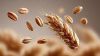 High Protein Wheat Gra...