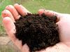 Peat / Peat Moss / Pea...