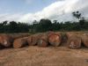 Azobe (Ekki) Round Logs