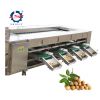 Apple Onion Orange Blueberry Potato Avocado date Fruit Tomato Sorter Grading Sorting Machine