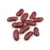 Authentic Red Kidney Beans with farm-to-table freshness