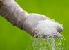 UREA