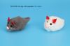 cat toy