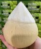 Diamond Coconut, Easy ...