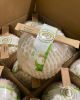 Diamond Coconut, Easy ...
